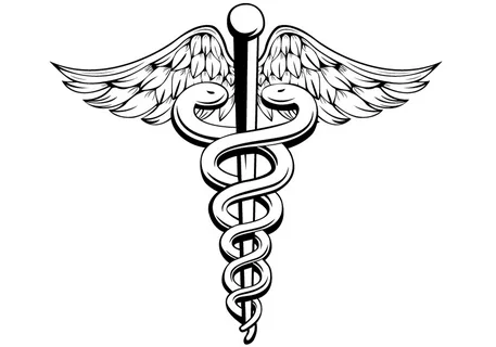 Explore our services! Get expert help with nursing, business, math & more.