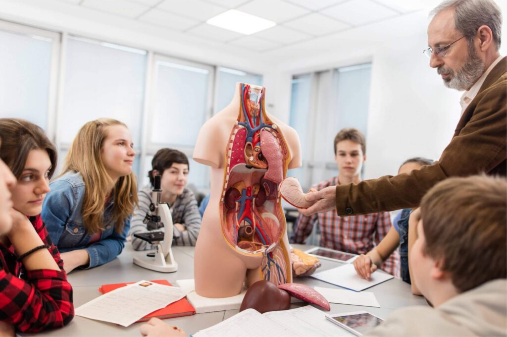 Expert Support for Your Success